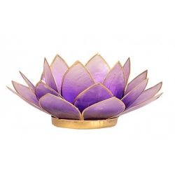 Lumière d'ambiance Lotus - Violet