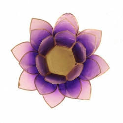 Lotus mood light - Violet 2