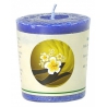 Mountain Air votive scented candle