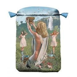 Pochette Tarot Vice Versa 2