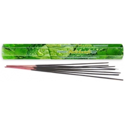 Darshan Patchouli incense