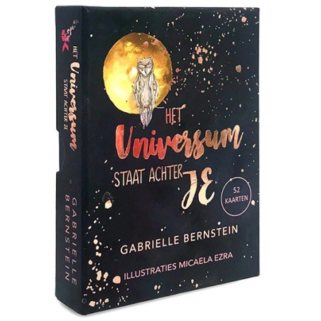 Het universum staat achter je - Gabrielle Bernstein (NL)