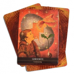 De helende kracht van het Sjamanisme - Barbara Meiklejohn-Free & Flavia Kate Peters 2