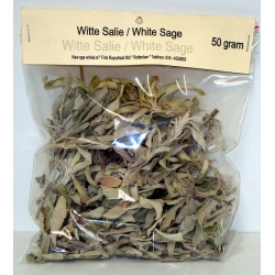 Sauge blanche californienne / White Sage (100 grammes)