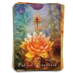 The Mystical Shamanic Oracle - Alberto Villoldo and Colette Baron-Reid (NL) 2