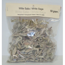 Sauge blanche californienne / White Sage (50 grammes)