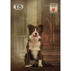 Thelema Lenormand - Renata Lechner 2