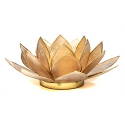 Lotus-Stimmungslicht - Geräuchert
