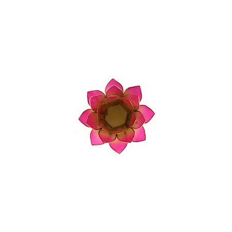 Lotus sfeerlicht - 2-kleurig roze/groen