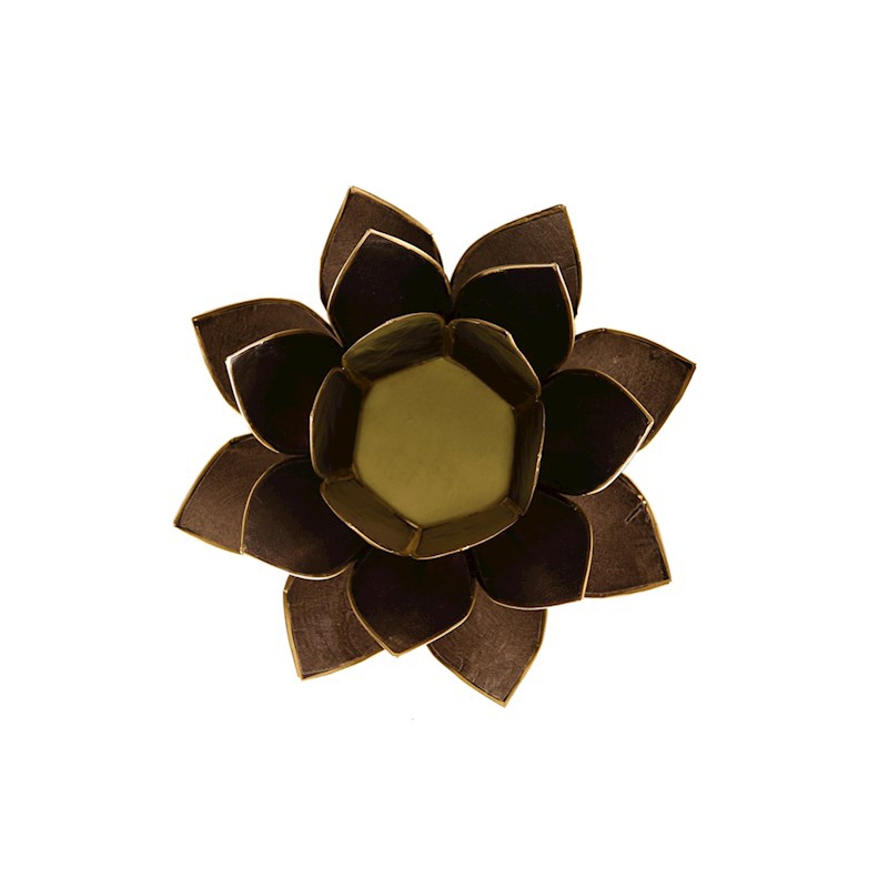 Lotus-Stimmungslicht - Schwarz