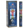 Encens Enfant divin jésus (HEM)
