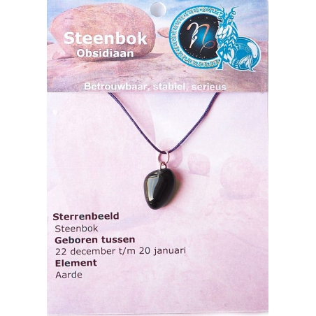 Sterrenbeeld hanger Steenbok (Obsidiaan)